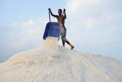 Lake Afdera salt collection