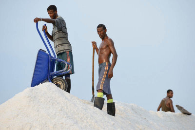 Lake Afdera salt collection