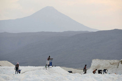 Lake Afdera salt collection