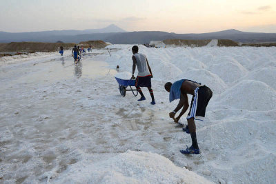 Lake Afdera salt collection