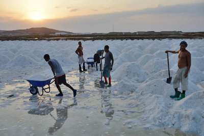 Lake Afdera salt collection