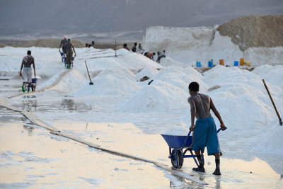 Lake Afdera salt collection