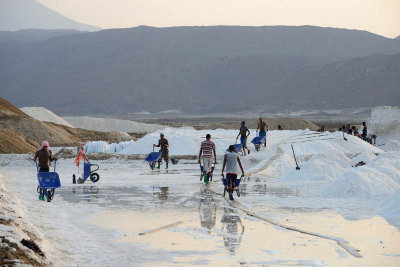 Lake Afdera salt collection