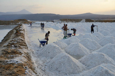 Lake Afdera salt collection