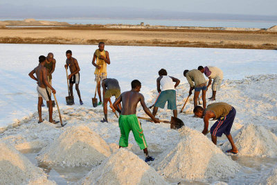 Lake Afdera salt collection