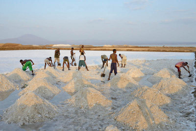 Lake Afdera salt collection