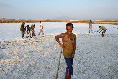 Lake Afdera salt collection