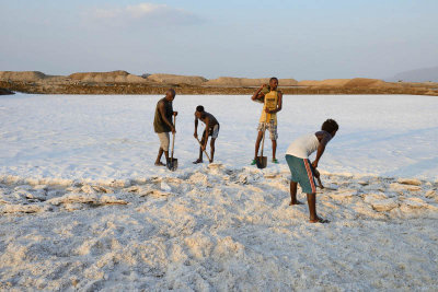 Lake Afdera salt collection