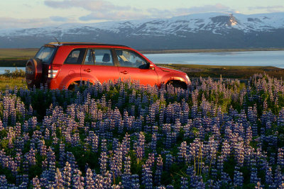 From Húsavik to Kidagil