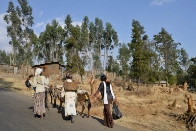 Addis Ababa, Entoto Natural Park Area