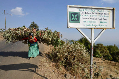 Addis Ababa, Entoto Natural Park Area