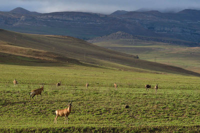 Golden Gate Highlands National Park