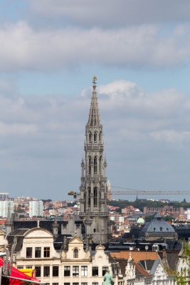 IMG_5652.jpg