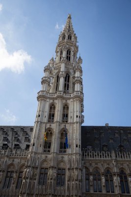 IMG_5695.jpg