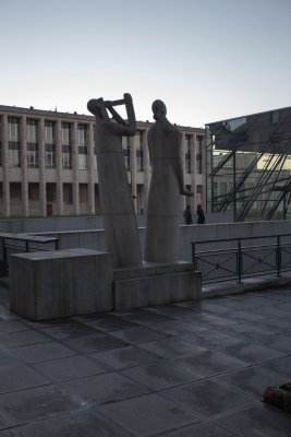 IMG_7131.jpg