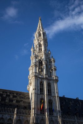 IMG_7221.jpg