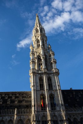 IMG_7226.jpg