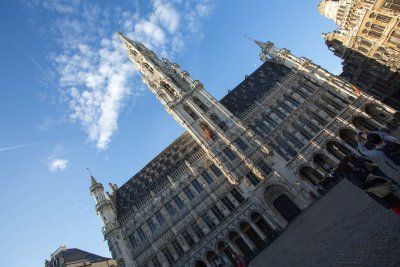 IMG_7229.jpg