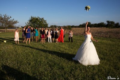 IMG_2081.jpg