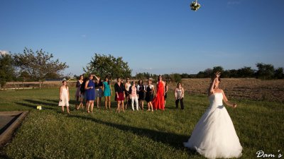 IMG_2082.jpg