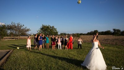 IMG_2083.jpg