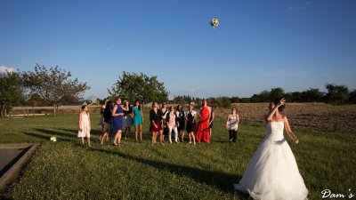 IMG_2084.jpg