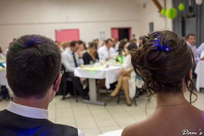 IMG_2249.jpg