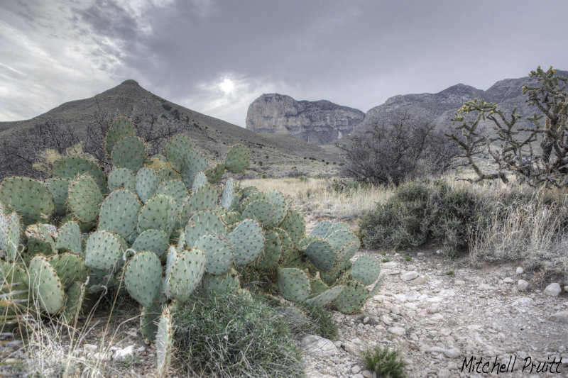 Guadalupe Mountains
