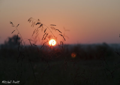 Sunrise Near Goshen II