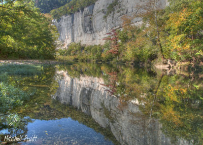 Buffalo Reflections at Roark