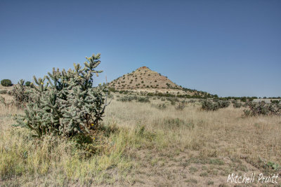 Baca County Landscape
