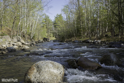 River in the Adirondacks