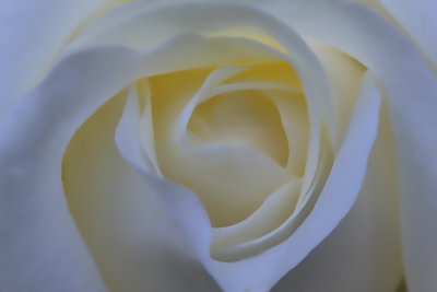 g9/59/954159/3/163725101.Oqb33Vdp.jpg