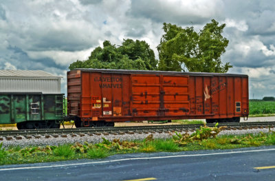 DSC_0093.JPG