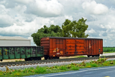 DSC_0094.JPG