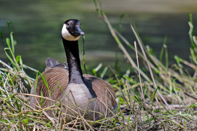 DSC_2861.jpg