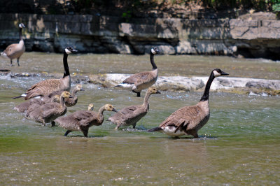 DSC_2894.jpg