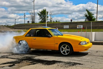 DSC_3379.jpg