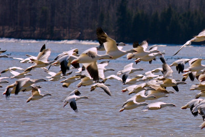 DSC_5019.jpg
