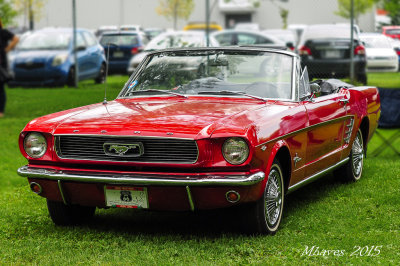 DSC_7467.jpg
