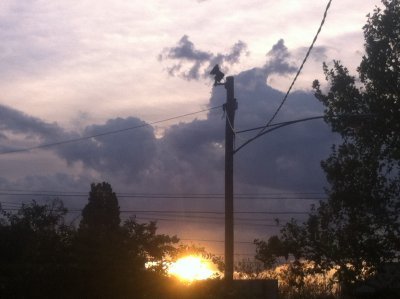 Richmond sun
