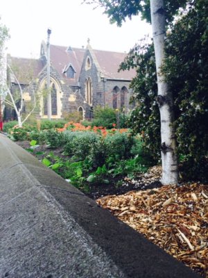 Not St. Stephens Church