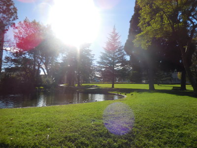 carlton gardens