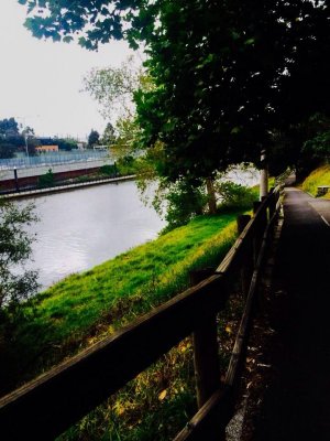 Yarra Bike Path