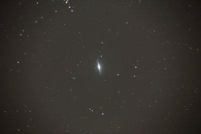 IMG_1966linear.JPG