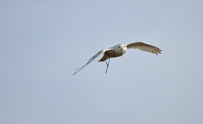 _DSC5690.jpg