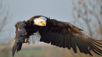 _DSC6111.jpg