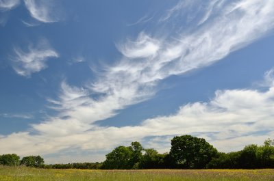 _DSC8395.jpg