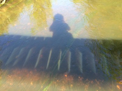 2015-05-17 6:07 pm