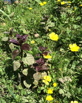 2015-05-17 3:06 pm